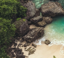 How to Travel to Australian Forest