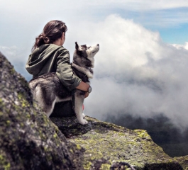 Playful Dog Can’t Get Enough Of Going Down The Slide