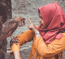 We’ve lost 3 billion birds since 1970 in North Side