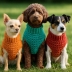 Crochet Dog Sweater