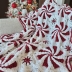 Peppermint Crochet Throw and Pillow